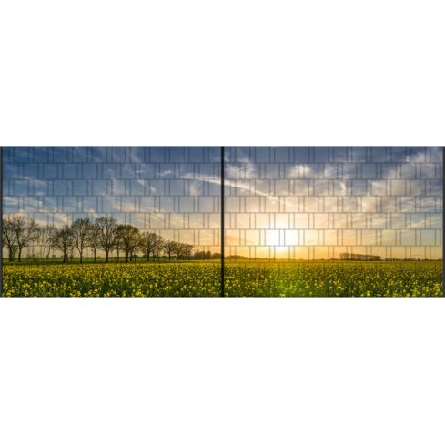 Panorama XL Blumen und Sonne Sichtschutz 