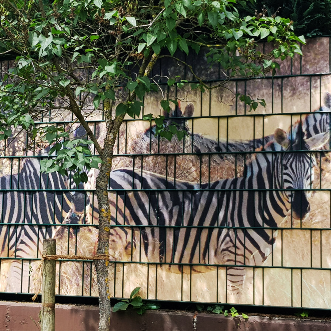 Doppelstabmattenzaun Sichtschutz Eigenmotiv Zebra